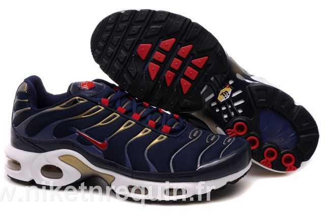 Nike Tn 2010 Bleu